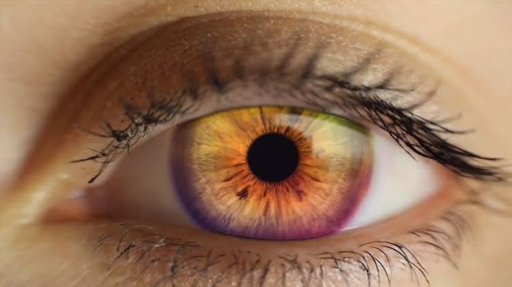 por que nossos olhos dizem tanto sobre nós