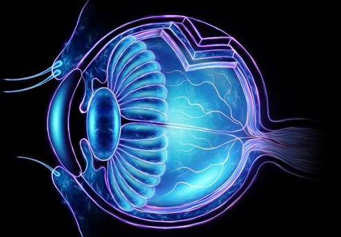 transplante de cornea em curitiba