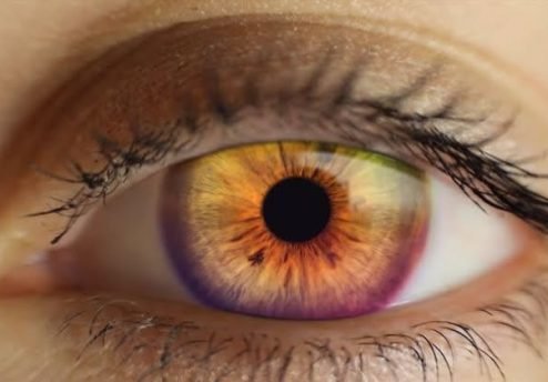 por que nossos olhos dizem tanto sobre nós
